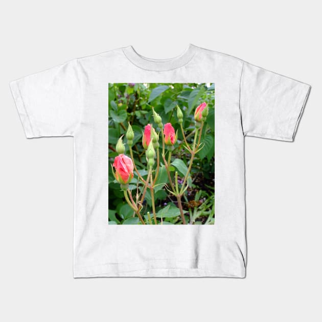 pink rose buds Kids T-Shirt by pinkal